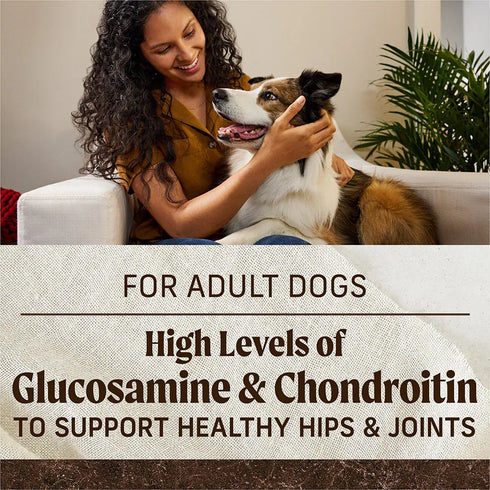 Merrick Grain Free Dry Dog Food - Texas Beef & Sweet Potato - 22lb Bag