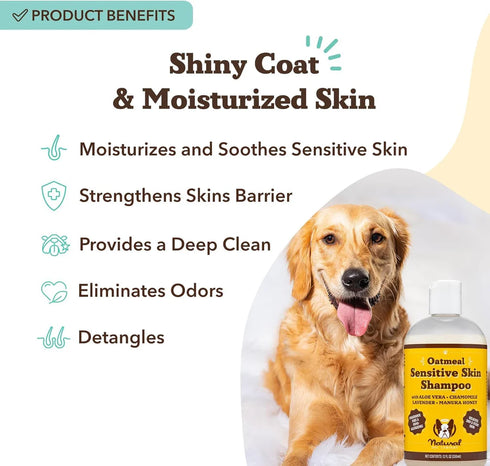 Natural Dog Company Oatmeal Sensitive Skin Shampoo For Dogs - 12oz Pump Bottle