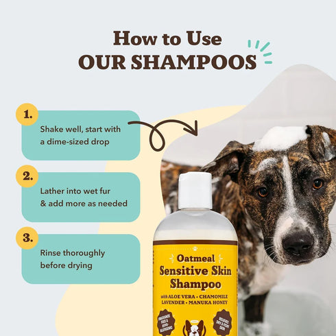 Natural Dog Company Oatmeal Sensitive Skin Shampoo For Dogs - 12oz Pump Bottle