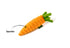 P.L.A.Y. Garden Fresh Carrot Mini Plush Dog Toy