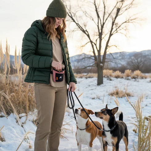 Olly Dog Treat Bag - Desert