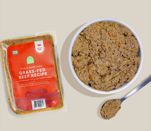 Open Farm Freshly Crafted & Gently Cooked Dog Food - Grass-Fed Beef - 16oz Bag