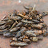 Happy Hen Grass Hoppers Chicken Treats - 5oz Pouch