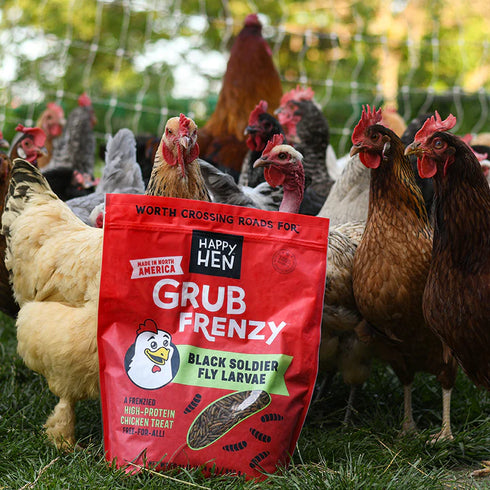 Happy Hens Grub Frenzy North American Chicken Treats - Black Soldier Fly Larvae - 5lb Bag