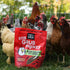 Happy Hens Grub Frenzy North American Chicken Treats - Black Soldier Fly Larvae - 5lb Bag
