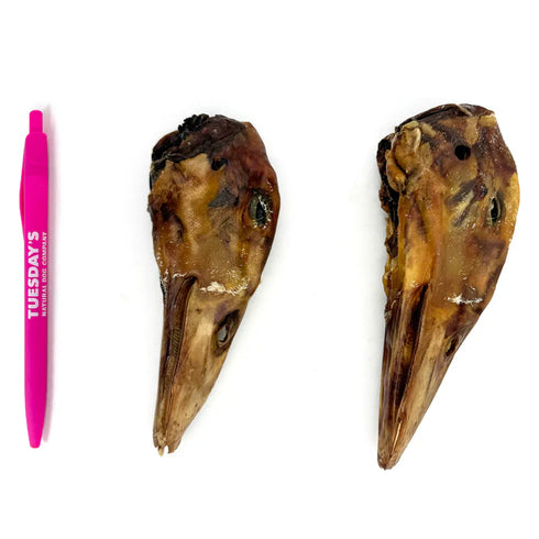 Tuesday's Duck Head Dog Treat - 10 Count