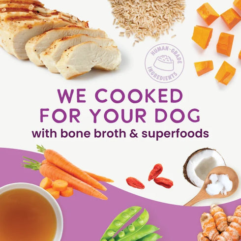 Health Extension Gently Cooked Cat & Dog Food - Chicken & Pumpkin - 9oz Pouch