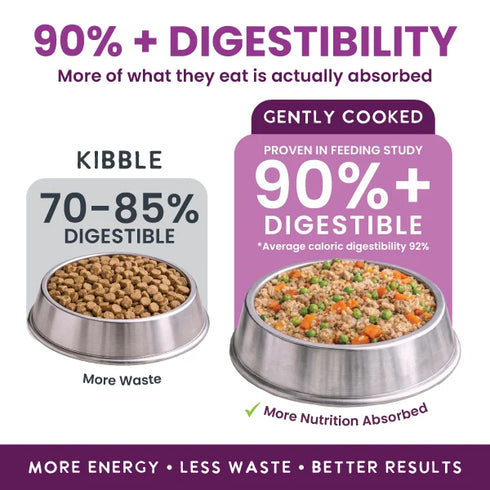Health Extension Gently Cooked Cat & Dog Food - Beef & Potato - 3oz Pouch