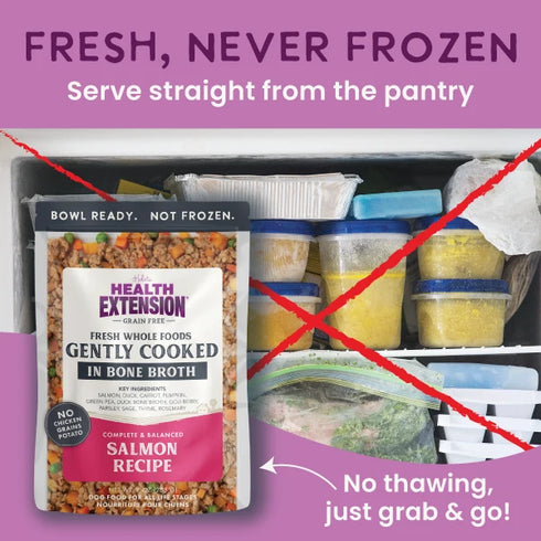 Health Extension Grain Free Gently Cooked Cat & Dog Food - Salmon - 3oz Pouch
