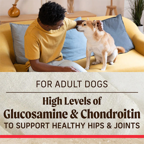 Merrick Classic Healthy Grains Dry Dog Food - Real Beef & Brown Rice - 33lb Bag