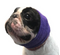 Happy Hoodie For Dogs - 2 Pack - Purple