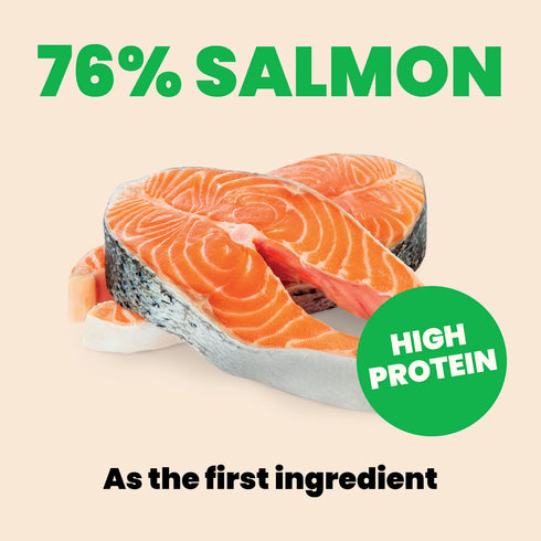 Almo Nature Natural HQS Wet Cat Food - Salmon in Broth - 2.47oz Can