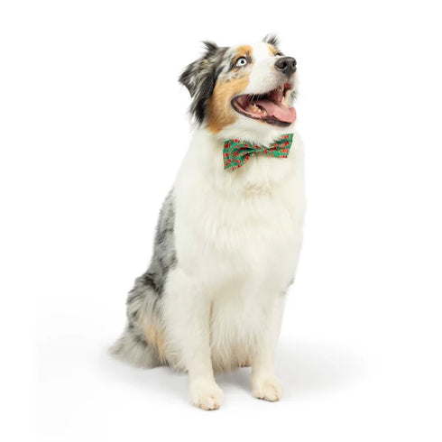 Huxley & Kent Pet Holiday Bow Tie - Large - Ho Ho Ho