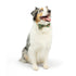 Huxley & Kent Pet Holiday Bow Tie - Large - Ho Ho Ho