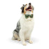 Huxley & Kent Pet Holiday Bow Tie - Large - Ho Ho Ho