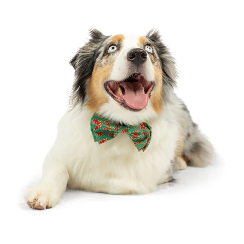 Huxley & Kent Pet Holiday Bow Tie - Large - Ho Ho Ho