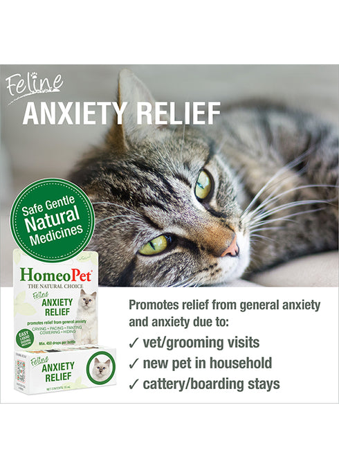 HomePet Feline Anxiety Relief Natural Cat Supplement - 15ml