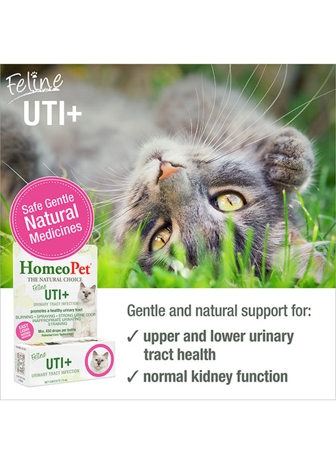 HomeoPet Feline UTI+ Natural Remedy For Cats - 15ml