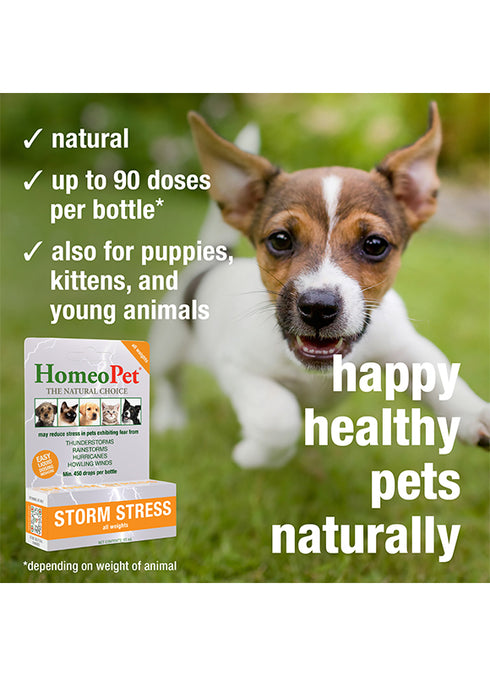 HomeoPet Storm Stress Relief Multispecies Supplement - 15ml