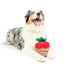 Huxley & Kent Chocolate Strawberry Large Dog Toy - Poudre Pet & Feed Supply 2