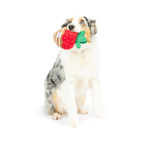 Huxley & Kent Chocolate Strawberry Large Dog Toy - Poudre Pet & Feed Supply 3