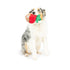 Huxley & Kent Chocolate Strawberry Large Dog Toy - Poudre Pet & Feed Supply 3