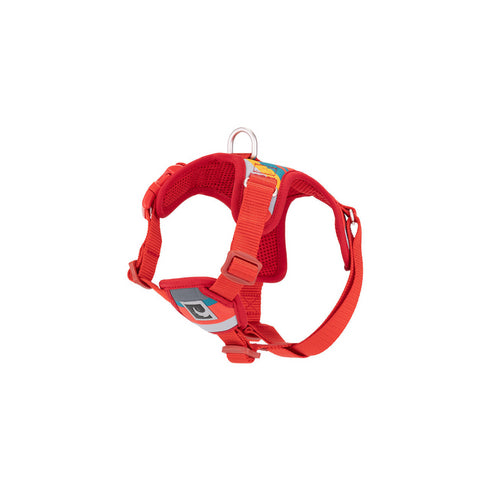 RC PETS Dog Forte Step In Harness, Multi-Stripes, S, 18" - 22" - Poudre Pet and Feed Supply