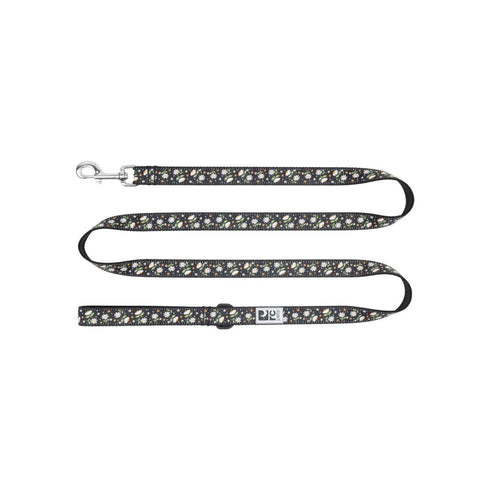 RC Pet Products Dog Leash 1"x6' Daisies - Poudre Pet & Feed Supply