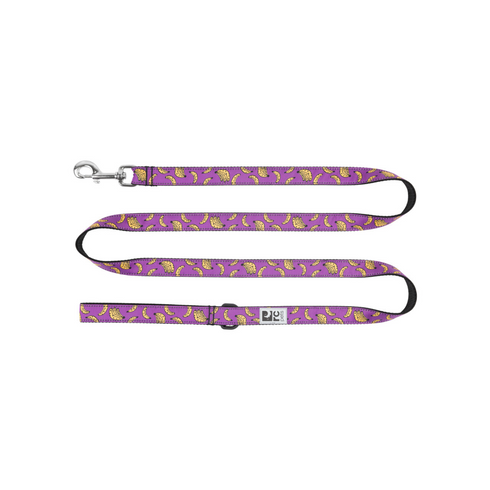 RC PETS Dog Leash, Bananas, 1x6' - Poudre Pet and Feed Supply