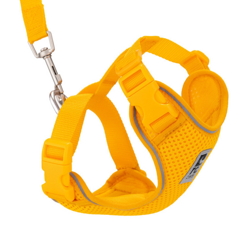 RC PETS Adventure Kitty Harness, Marigold, S, 11" - 15" - Poudre Pet and Feed Supply