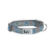 RC PETS Dog Clip Collar, Doodle Dogs, XS, 5/8"/ 7"- 9" - Poudre Pet and Feed Supply