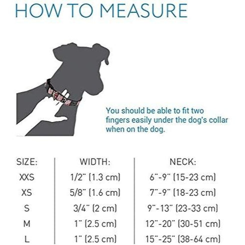 RC Pet Products 5/8" Adjustable Dog Clip Collar X-Small Palm - Poudre Pet & Feed Supply 2