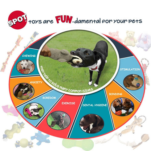 Spot Elasteeez Ball Feather Cat Toy