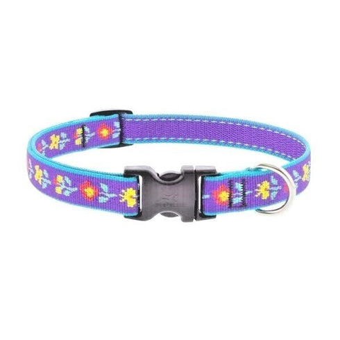 Lupine Collar 3/4" Wide x 15-25" Neck Size Folk Flower - Poudre Pet and Feed Supply