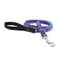 Lupine Dog Leash 3/4" Wide x 6' Length Folk Flower - Poudre Pet and Feed Supply