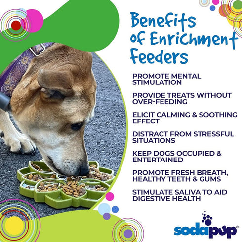 SodaPup Mandala eTray Durable Slow Feeder Tray Green - Poudre Pet and Feed Supply