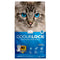 Intersand Odorlock Unscented Clumping Cat Litter 13.2lb - Poudre Pet and Feed Supply