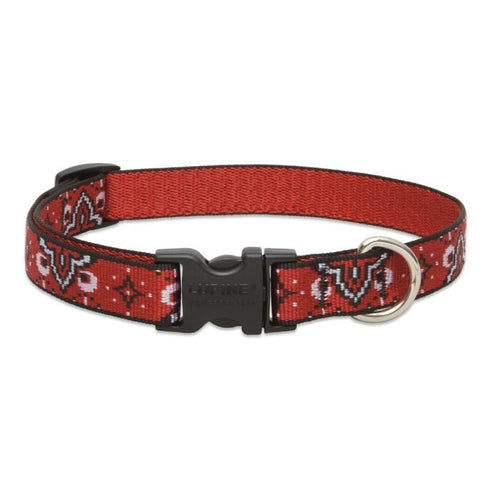 Lupine Pet Dog Collar 3/4" x 9"-14" Wild West - Poudre Pet & Feed Supply