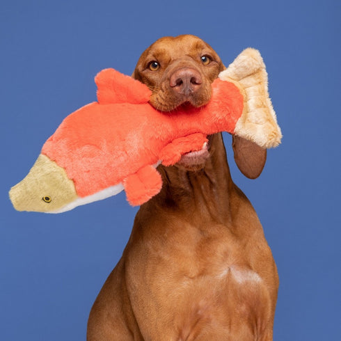 Fluff & Tuff Cedar Salmon Dog Toy - Poudre Pet & Feed Supply 4