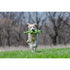 Fluff & Tuff Georgia Gator Dog Toy - Poudre Pet & Feed Supply 3