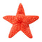 Fluff & Tuff Ziggy Starfish Dog Toy - Poudre Pet & Feed Supply