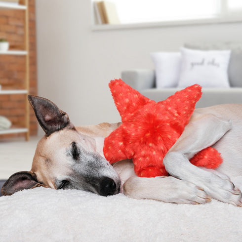 Fluff & Tuff Ziggy Starfish Dog Toy - Poudre Pet & Feed Supply 4