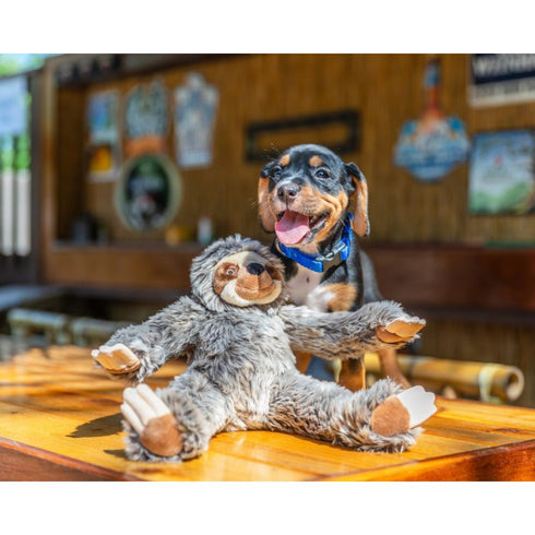 Fluff & Tuff Sonny Sloth Dog Toy - Poudre Pet & Feed Supply 3