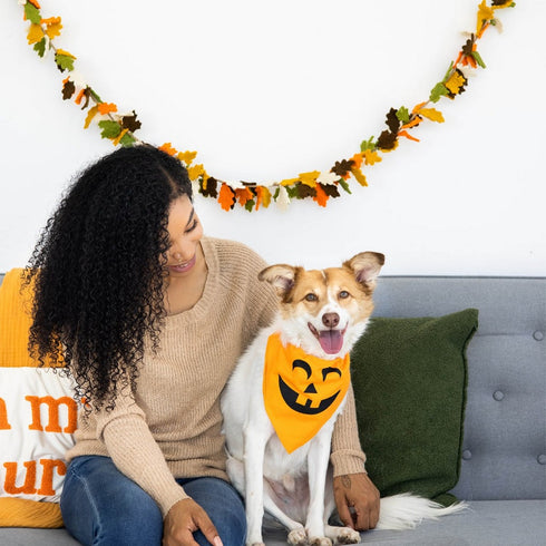 Pearhead Pumpkin Pet Bandana M/L - Poudre Pet & Feed Supply 3