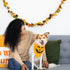 Pearhead Pumpkin Pet Bandana M/L - Poudre Pet & Feed Supply 3