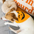Pearhead Pumpkin Pet Bandana M/L - Poudre Pet & Feed Supply 4
