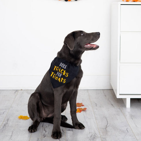 Pearhead Tricks for Treats Pet Bandana Black S/M - Poudre Pet & Feed Supply 2