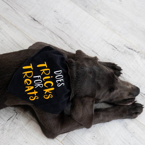 Pearhead Tricks for Treats Pet Bandana Black S/M - Poudre Pet & Feed Supply 3