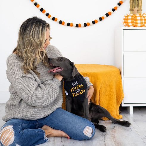 Pearhead Tricks for Treats Pet Bandana Black S/M - Poudre Pet & Feed Supply 4