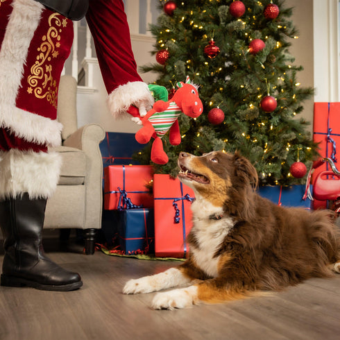 Huxley & Kent Lulubelles Power Plush Holiday Snowball Dragon Large